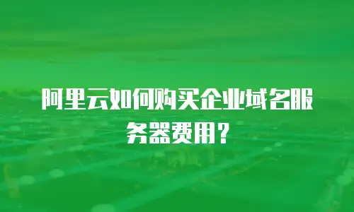 阿里云如何购买企业域名服务器费用？