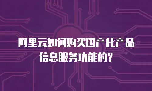 阿里云如何购买国产化产品信息服务功能的？