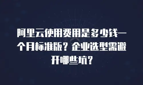 阿里云使用费用是多少钱一个月标准版？企业选型需避开哪些坑？
