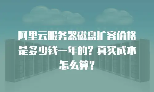 阿里云服务器磁盘扩容价格是多少钱一年的？真实成本怎么算？