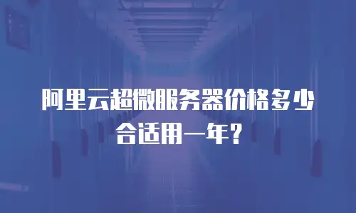 阿里云超微服务器价格多少合适用一年？