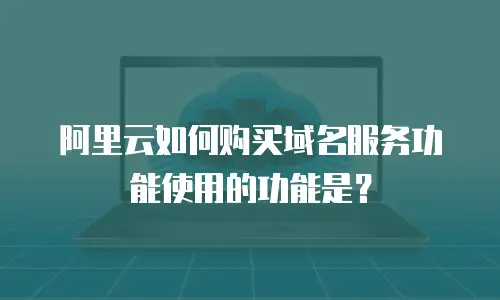 阿里云如何购买域名服务功能使用的功能是？