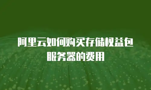 阿里云如何购买存储权益包服务器的费用