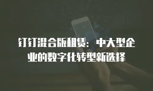钉钉混合版租赁：中大型企业的数字化转型新选择