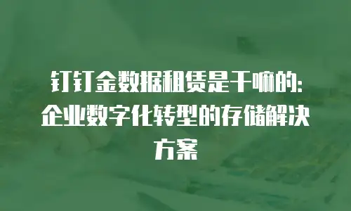 钉钉金数据租赁是干嘛的：企业数字化转型的存储解决方案