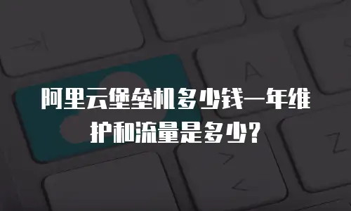 阿里云堡垒机多少钱一年维护和流量是多少？