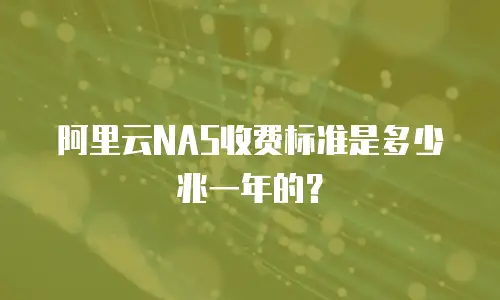阿里云NAS收费标准是多少兆一年的？