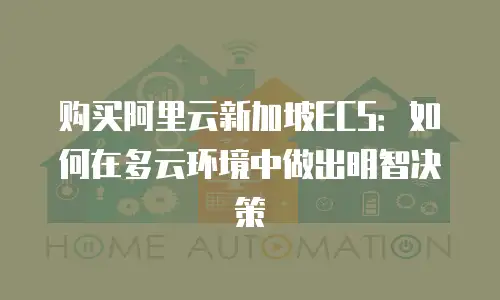 购买阿里云新加坡ECS：如何在多云环境中做出明智决策
