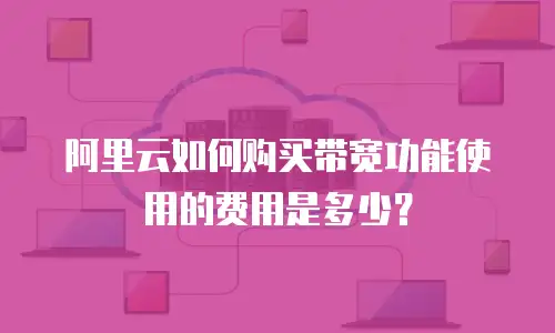 阿里云如何购买带宽功能使用的费用是多少？