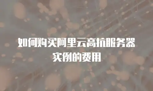 如何购买阿里云高抗服务器实例的费用