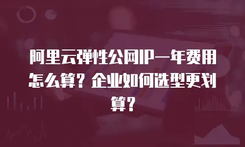 阿里云弹性公网IP一年费用怎么算？企业如何选型更划算？