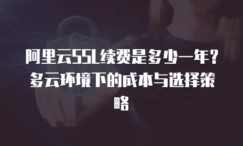 阿里云SSL续费是多少一年？多云环境下的成本与选择策略
