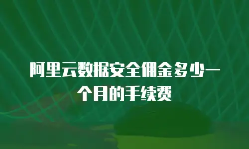 阿里云数据安全佣金多少一个月的手续费