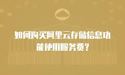 如何购买阿里云存储信息功能使用服务费？
