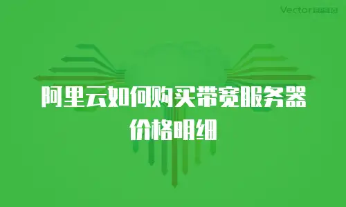 阿里云如何购买带宽服务器价格明细