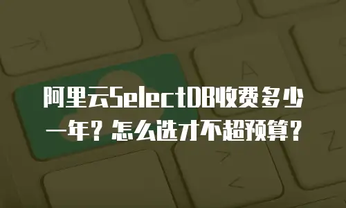 阿里云SelectDB收费多少一年？怎么选才不超预算？