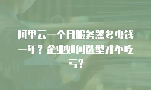 阿里云一个月服务器多少钱一年？企业如何选型才不吃亏？
