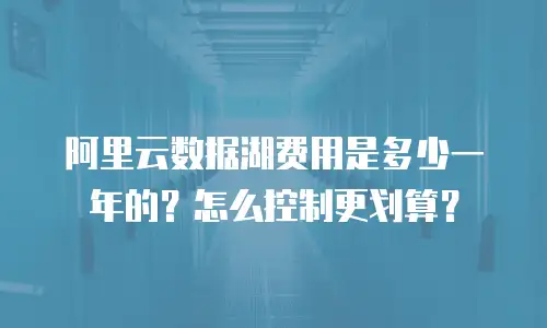 阿里云数据湖费用是多少一年的？怎么控制更划算？