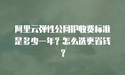 阿里云弹性公网IP收费标准是多少一年？怎么选更省钱？