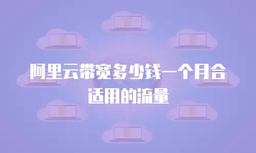 阿里云带宽多少钱一个月合适用的流量