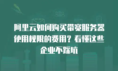 阿里云如何购买带宽服务器使用权限的费用？看懂这些企业不踩坑