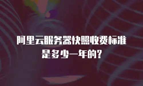 阿里云服务器快照收费标准是多少一年的？