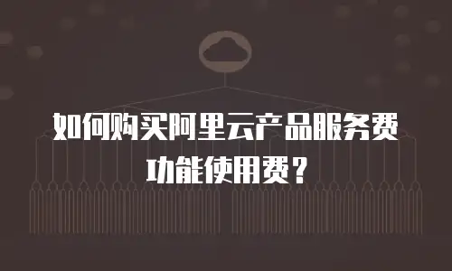 如何购买阿里云产品服务费功能使用费？
