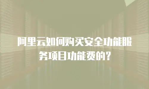 阿里云如何购买安全功能服务项目功能费的？