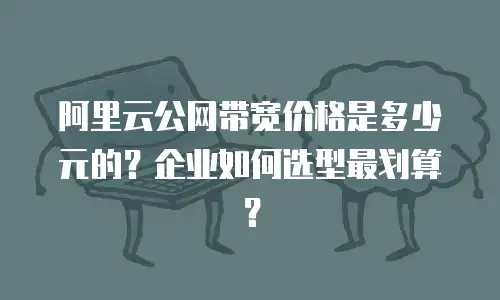 阿里云公网带宽价格是多少元的？企业如何选型最划算？