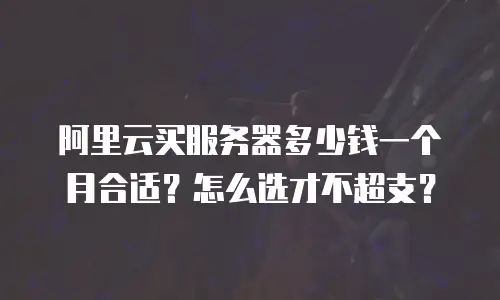 阿里云买服务器多少钱一个月合适？怎么选才不超支？