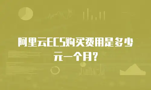 阿里云ECS购买费用是多少元一个月？