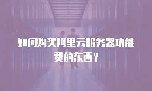 如何购买阿里云服务器功能费的东西？