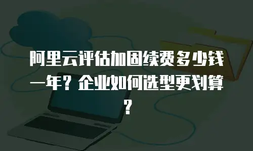 阿里云评估加固续费多少钱一年？企业如何选型更划算？