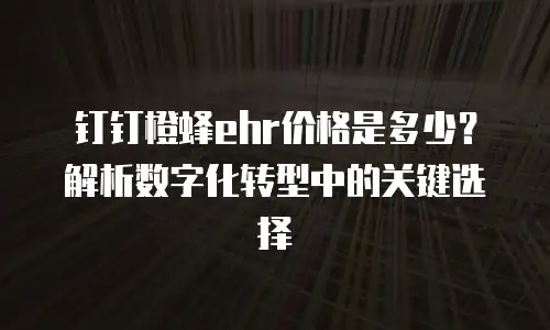 钉钉橙蜂ehr价格是多少？解析数字化转型中的关键选择