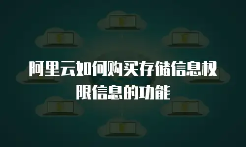 阿里云如何购买存储信息权限信息的功能