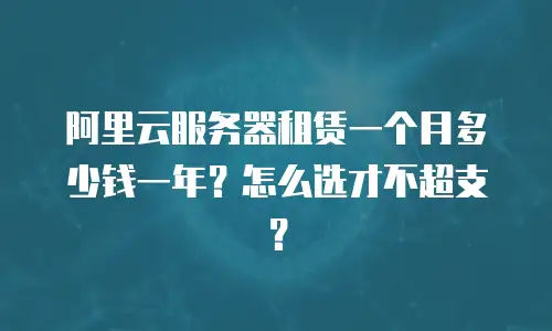 阿里云服务器租赁一个月多少钱一年？怎么选才不超支？