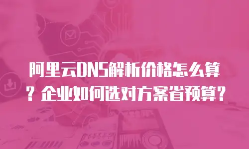 阿里云DNS解析价格怎么算？企业如何选对方案省预算？