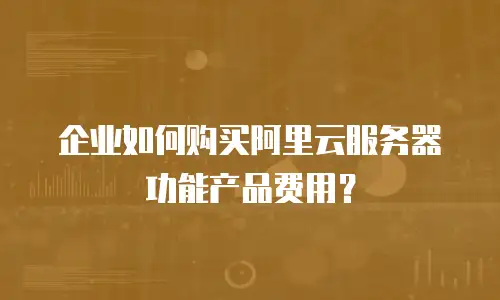 企业如何购买阿里云服务器功能产品费用？