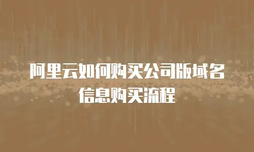 阿里云如何购买公司版域名信息购买流程