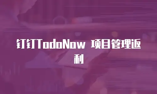 钉钉TodoNow 项目管理返利