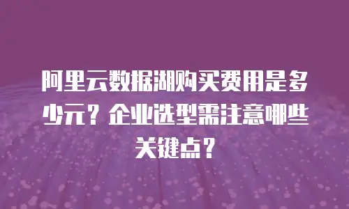 阿里云数据湖购买费用是多少元？企业选型需注意哪些关键点？