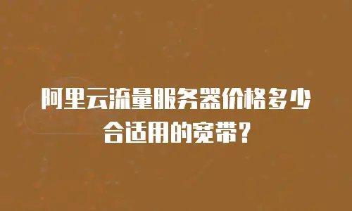 阿里云流量服务器价格多少合适用的宽带？