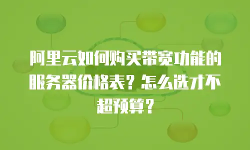 阿里云如何购买带宽功能的服务器价格表？怎么选才不超预算？