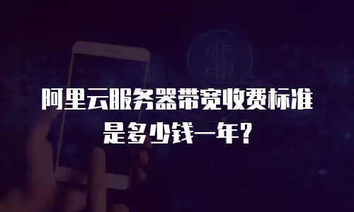 阿里云服务器带宽收费标准是多少钱一年？