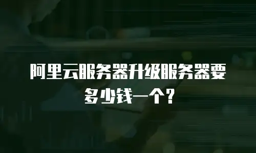 阿里云服务器升级服务器要多少钱一个？