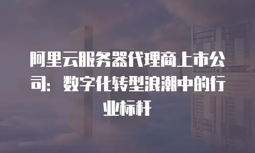 阿里云服务器代理商上市公司：数字化转型浪潮中的行业标杆