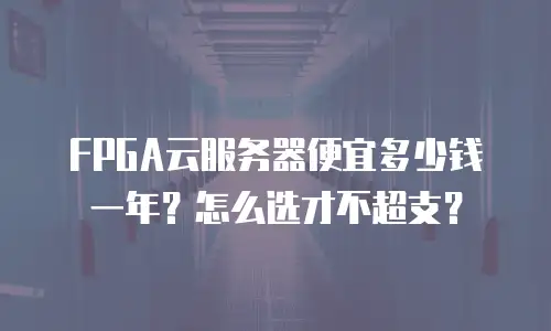 FPGA云服务器便宜多少钱一年？怎么选才不超支？