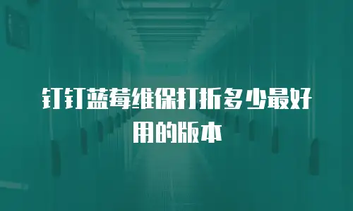钉钉蓝莓维保打折多少最好用的版本