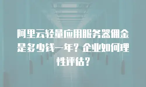阿里云轻量应用服务器佣金是多少钱一年？企业如何理性评估？