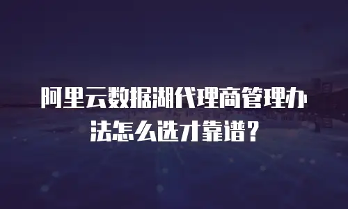 阿里云数据湖代理商管理办法怎么选才靠谱？